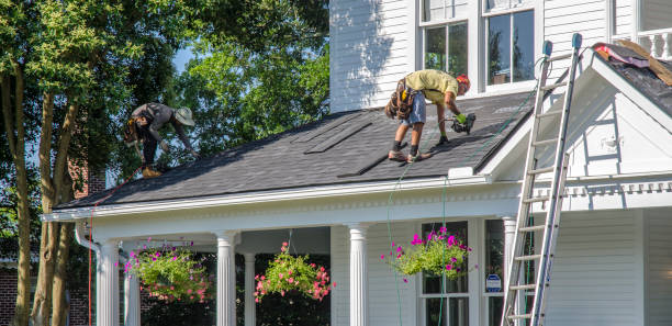 Best Roof Insulation Installation  in Lakesite, TN